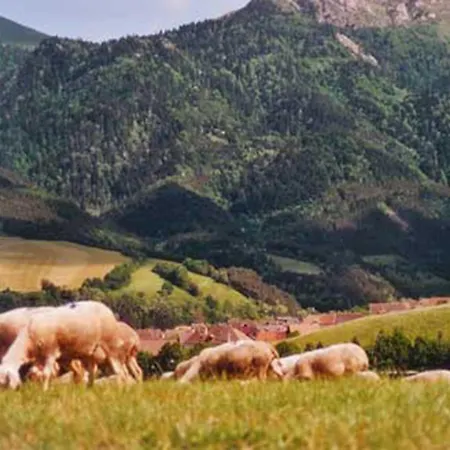 아파트 Les Du Finet -chatel